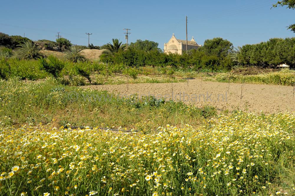 ToplouMonastery_kreta_0808.jpg