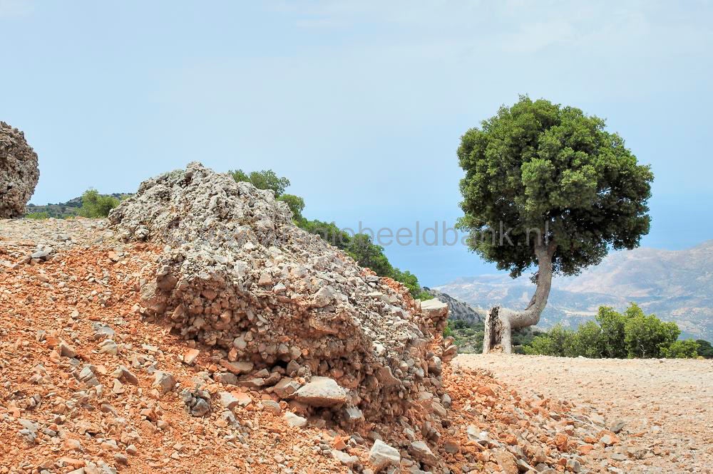 Toumpotos_Prinos_Refuge_16048.jpg