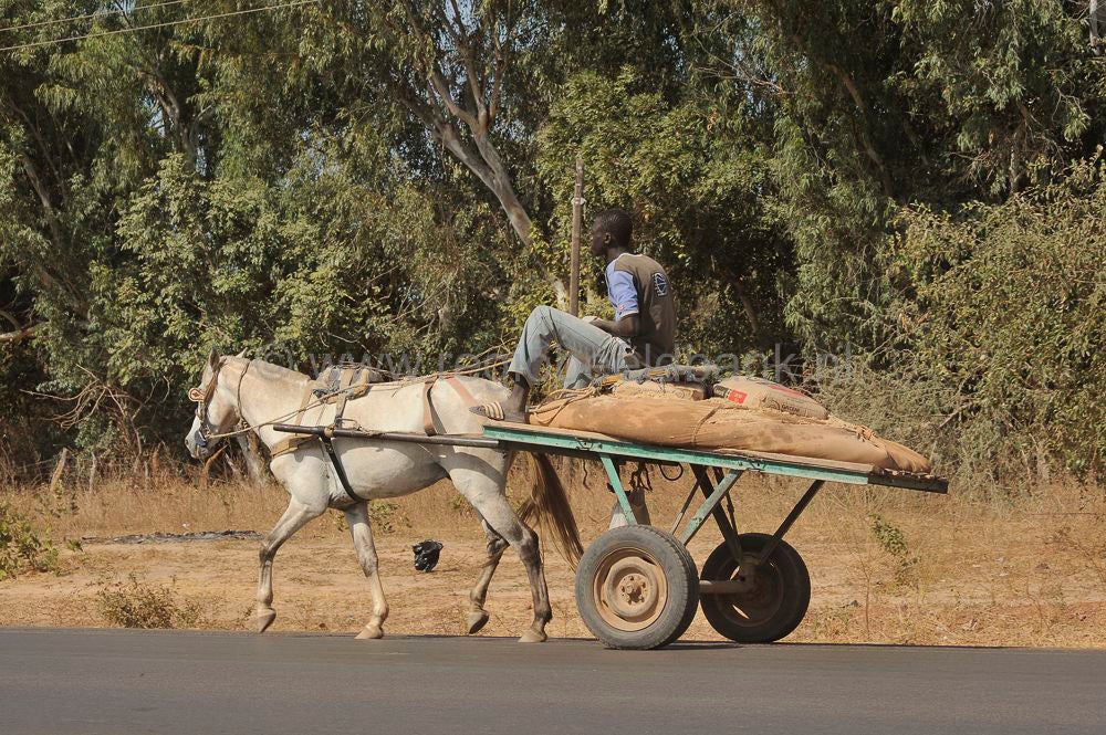 Transport_897.jpg