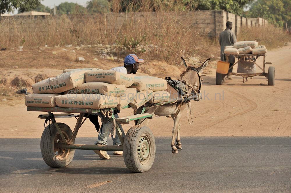 Transport_913.jpg