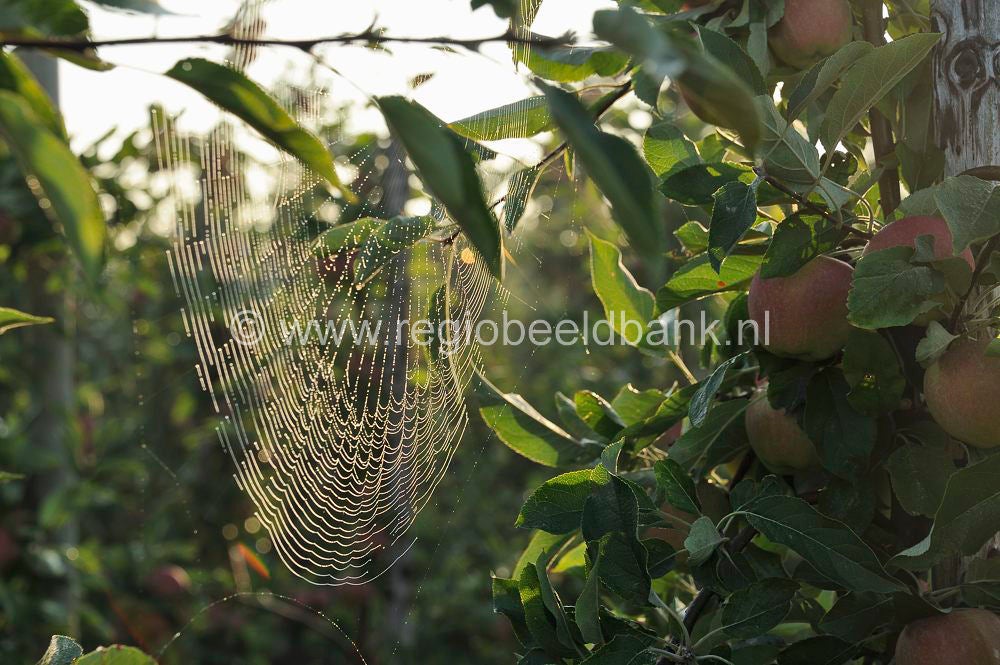 Tremelepad_005.jpg