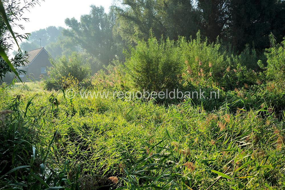 Tremelepad_028.jpg