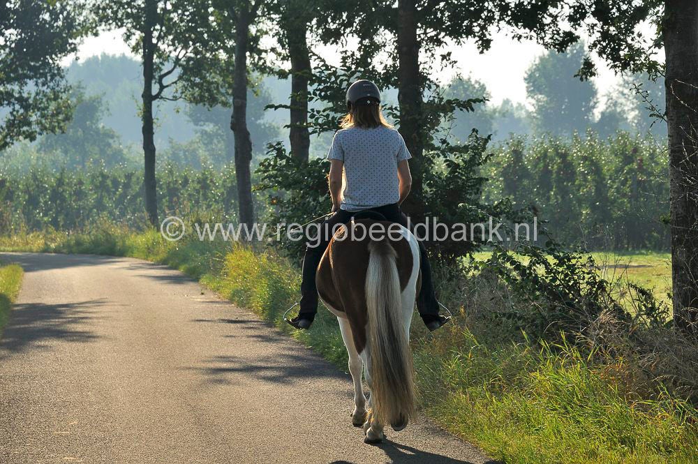 Tremelepad_036.jpg