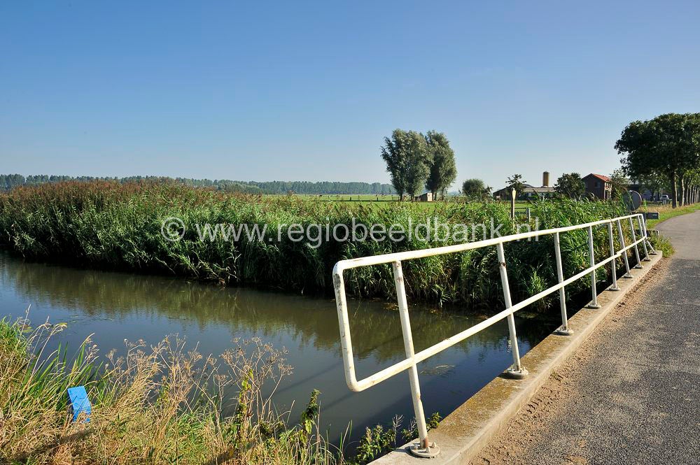 Tremelepad_047.jpg