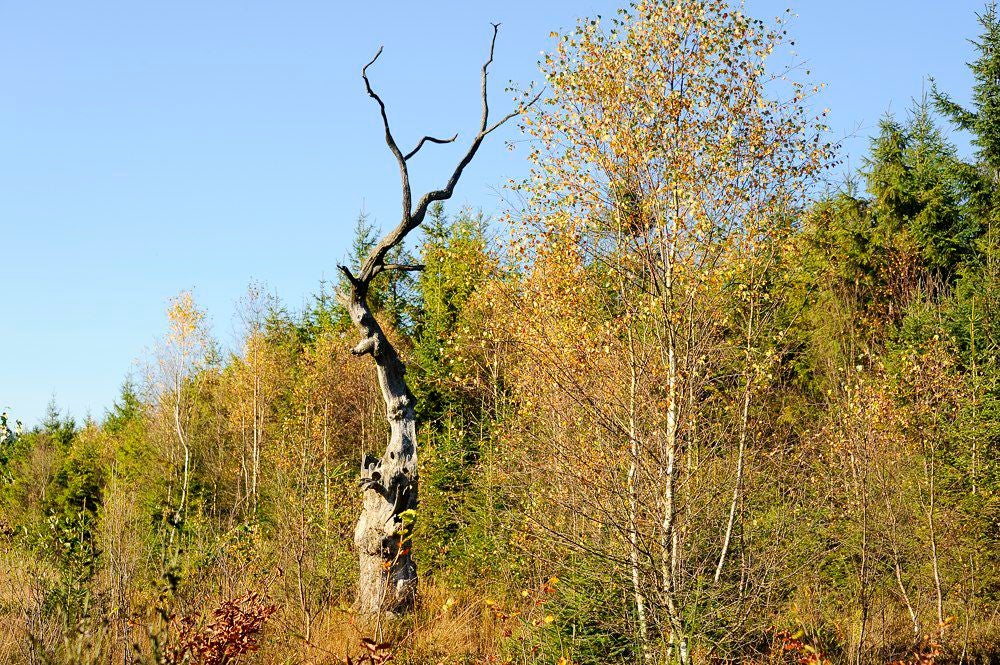 Tros_Maret_044.jpg