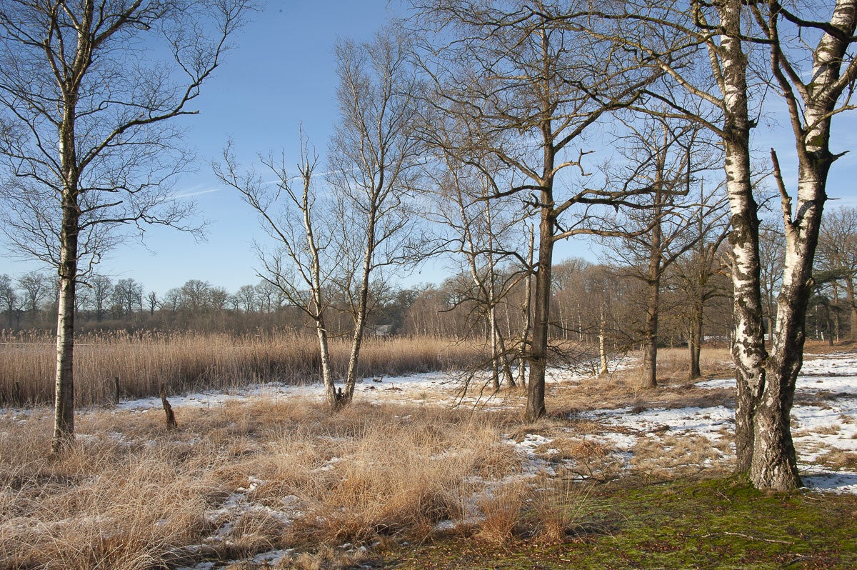 Uddelermeerpad_006-1.jpg