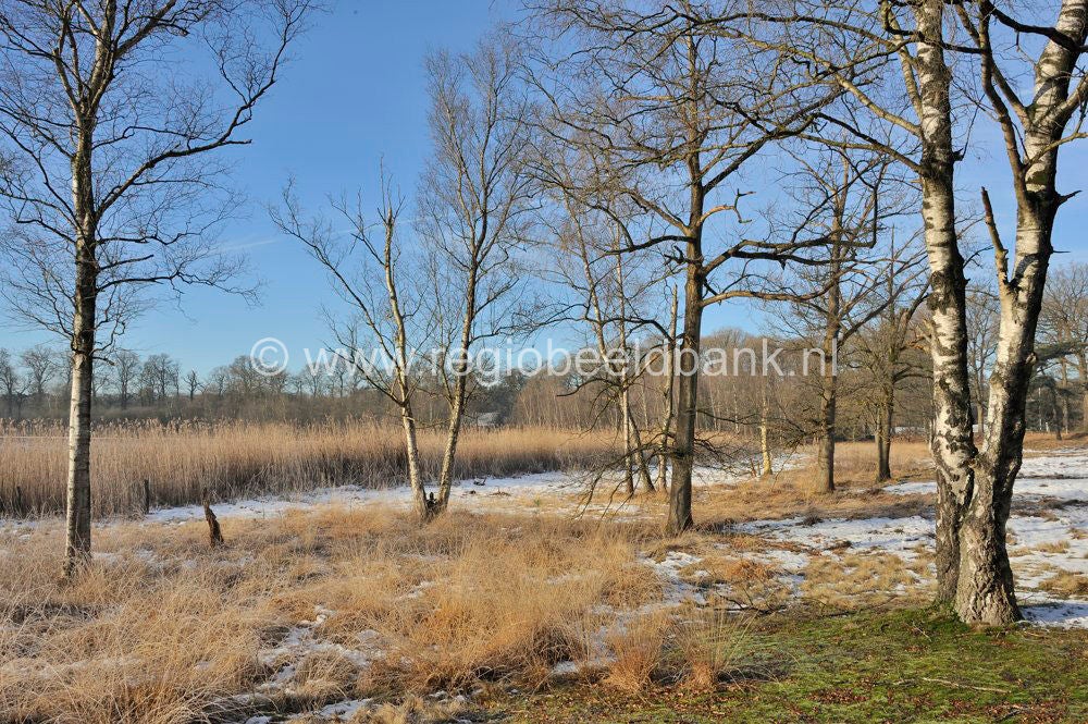 Uddelermeerpad_006.jpg