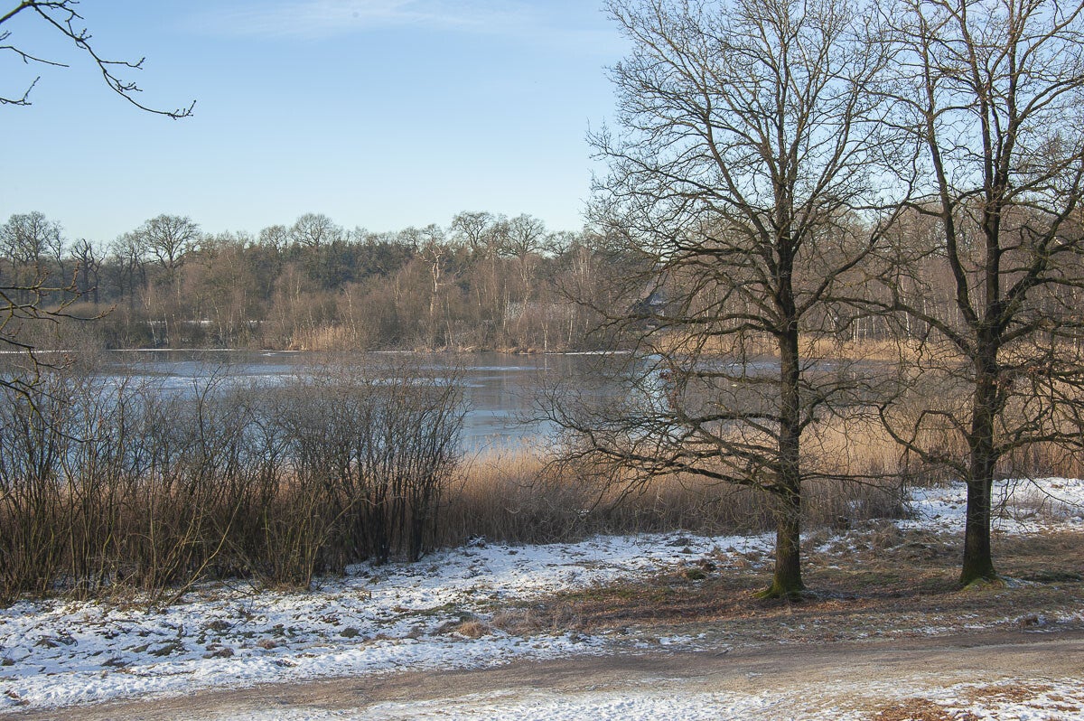 Uddelermeerpad_008-2.jpg