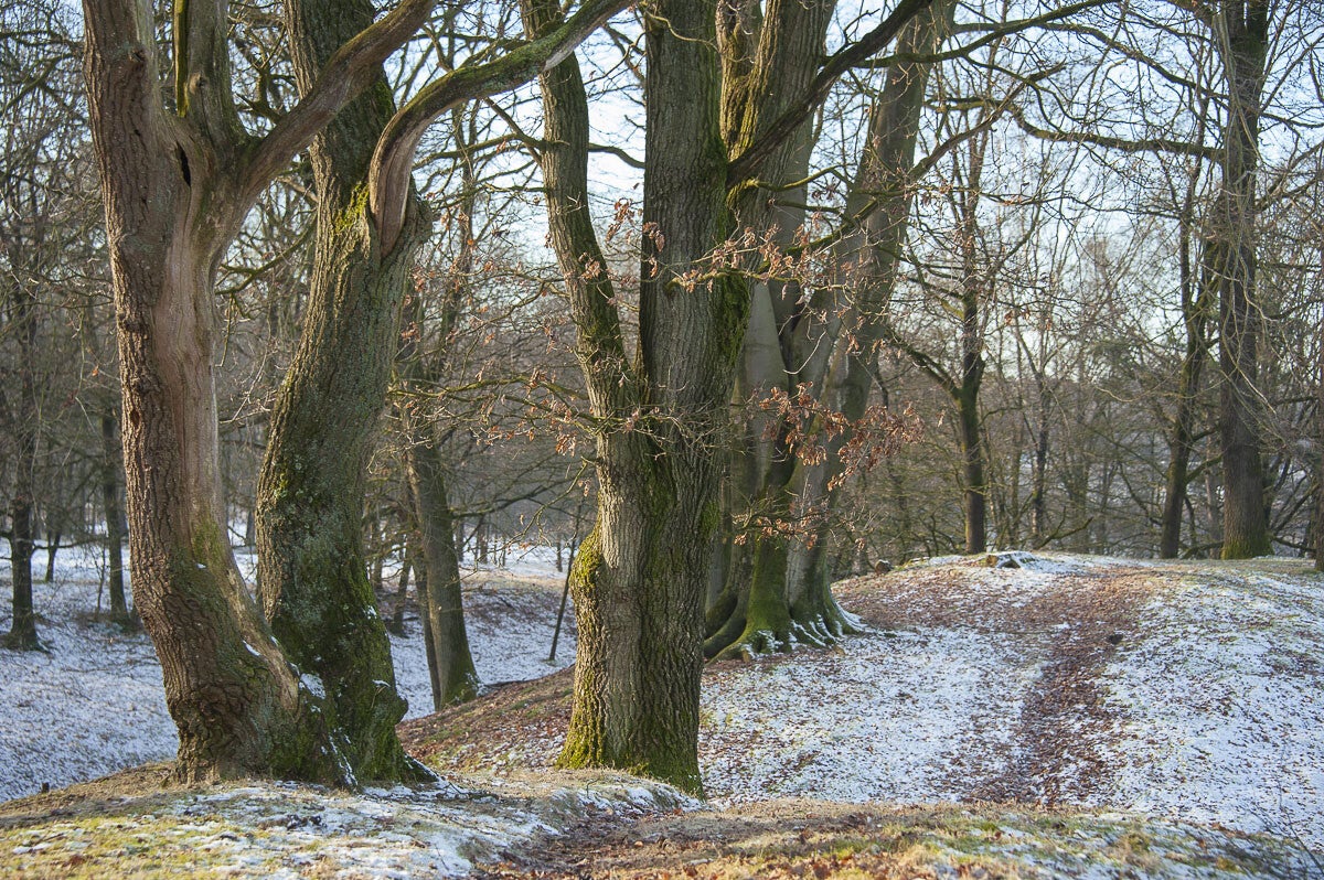 Uddelermeerpad_010-1.jpg