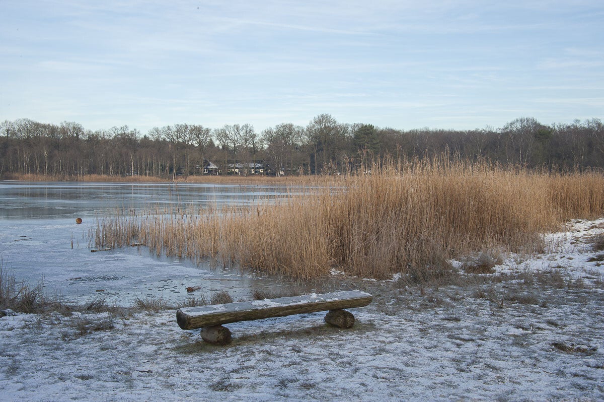 Uddelermeerpad_014.jpg