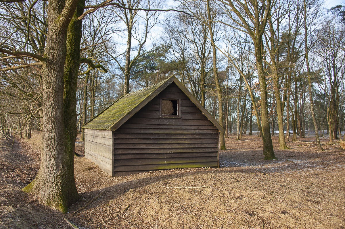 Uddelermeerpad_016-1.jpg