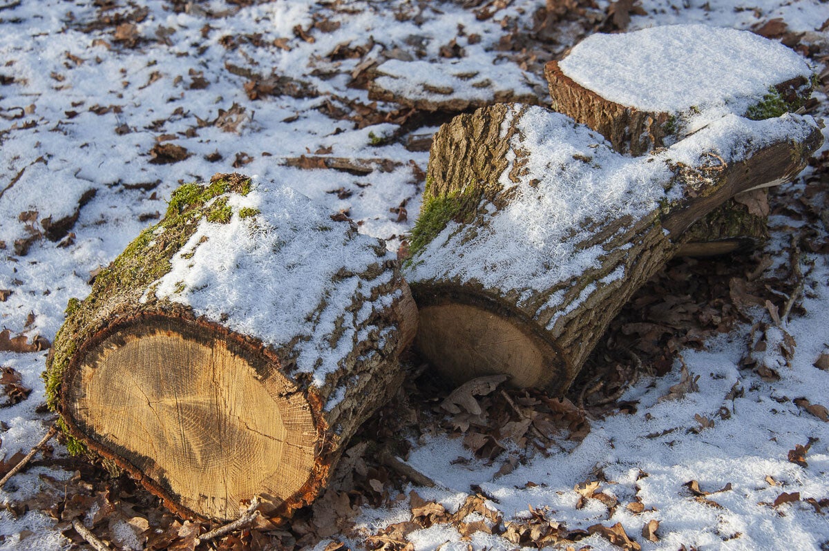 Uddelermeerpad_022-1.jpg