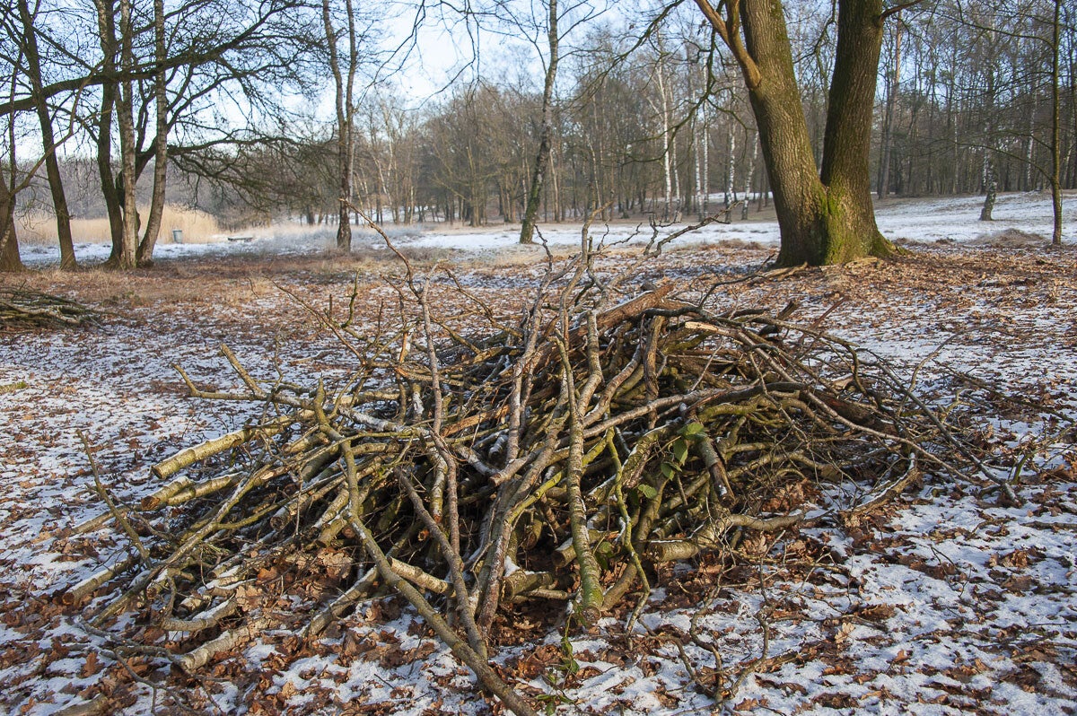 Uddelermeerpad_024-1.jpg