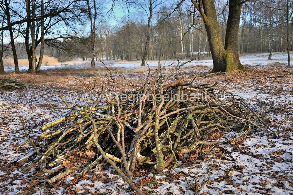 Uddelermeerpad_024.jpg