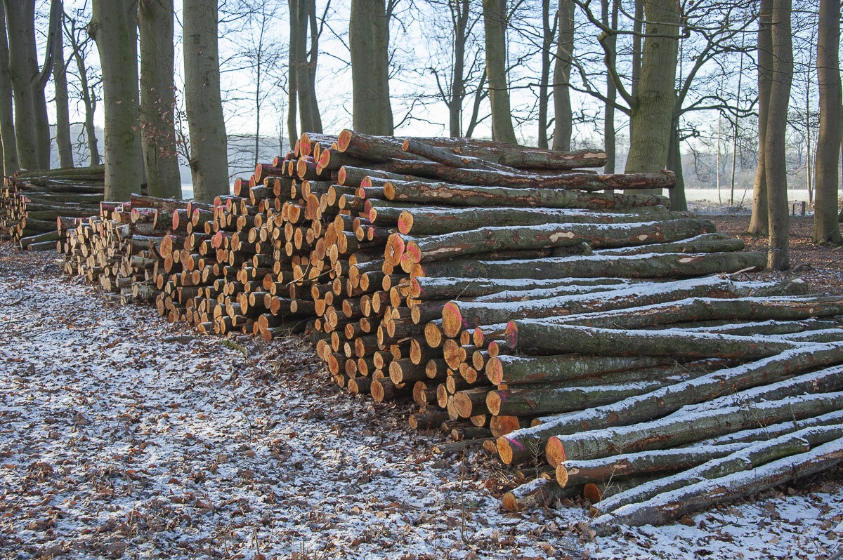 Uddelermeerpad_032-1.jpg