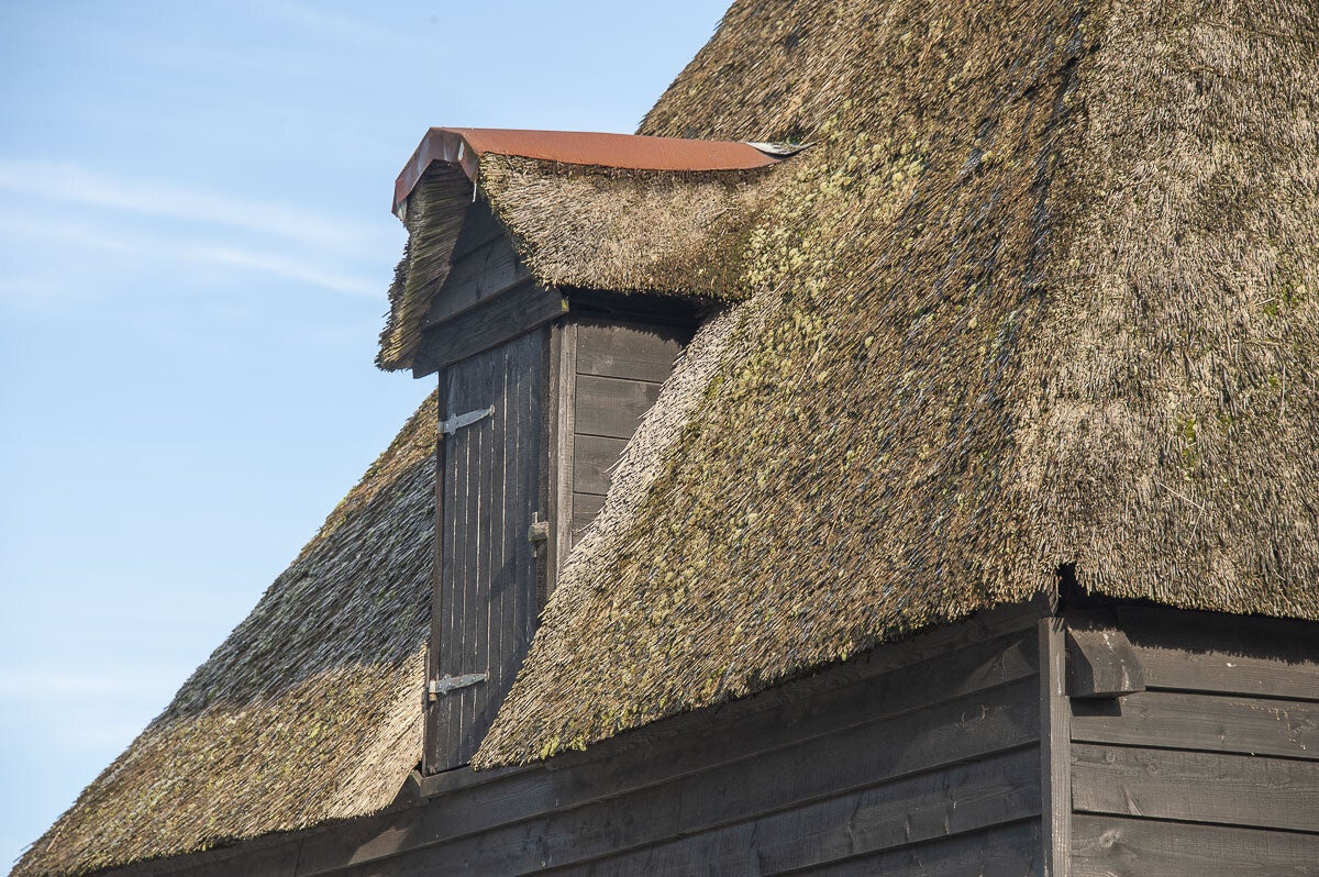 Uddelermeerpad_034-1.jpg