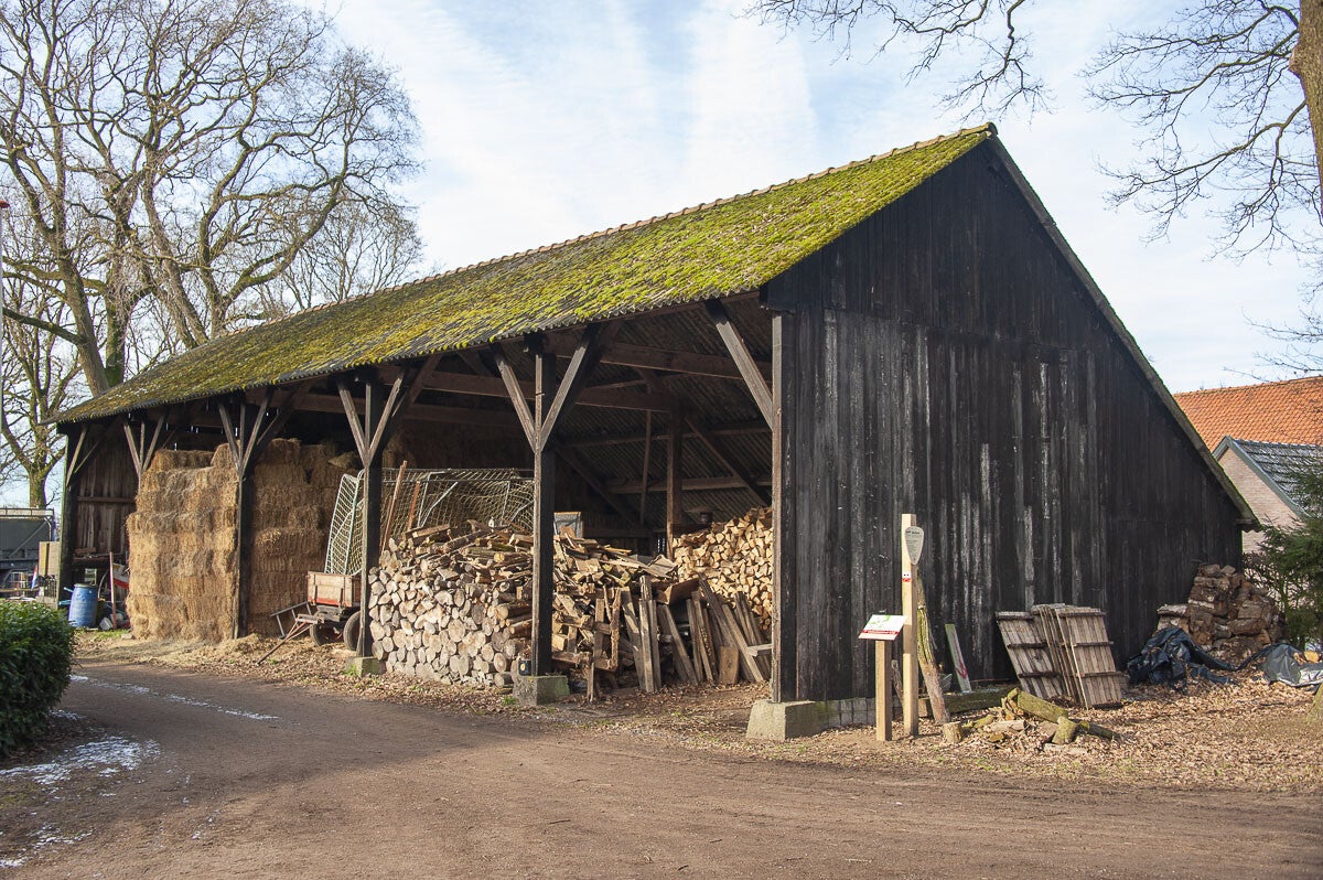 Uddelermeerpad_040.jpg