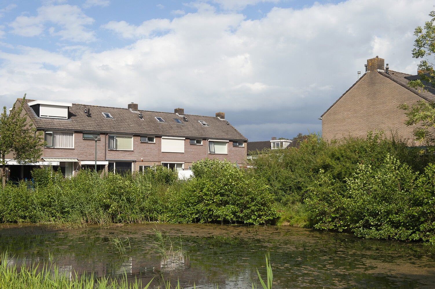 VanGoghlaan_1120.jpg