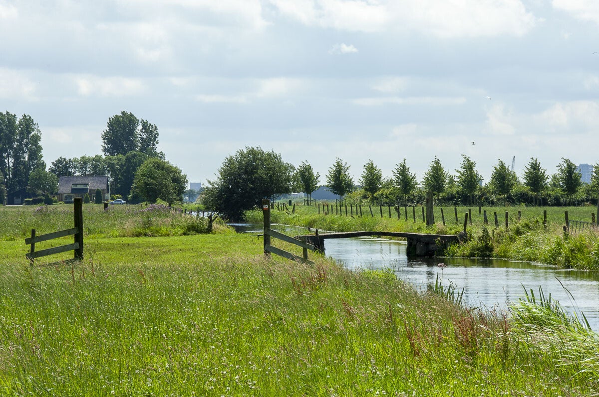 Veendijkpad016.jpg