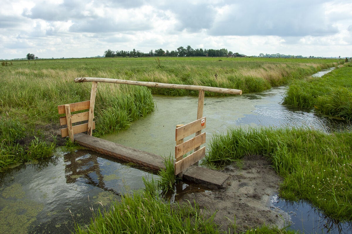 Veendijkpad020-1.jpg