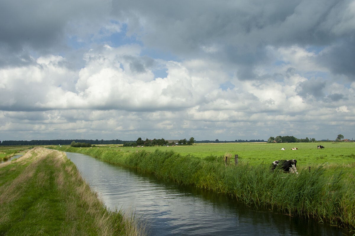 Veendijkpad022.jpg