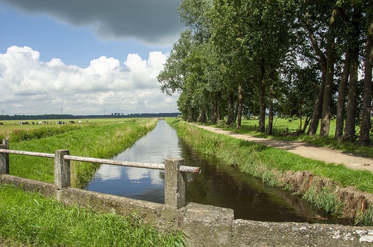 Veendijkpad024.jpg