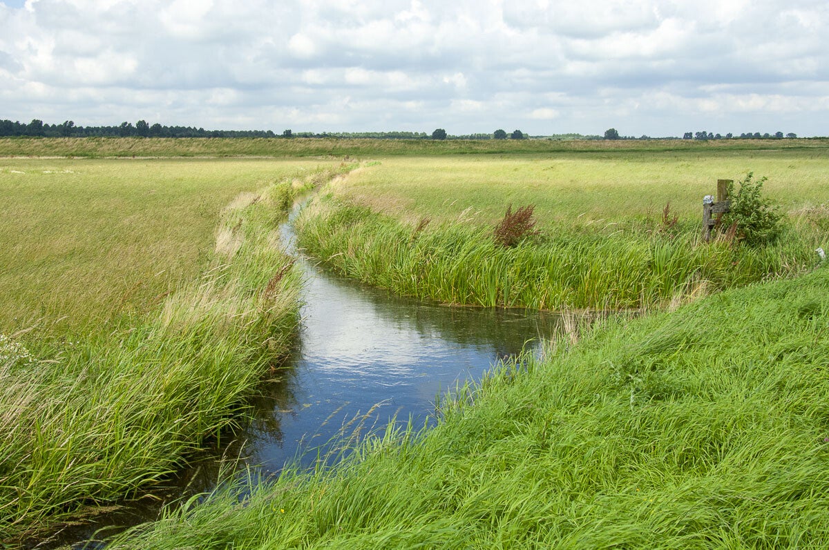 Veendijkpad028.jpg