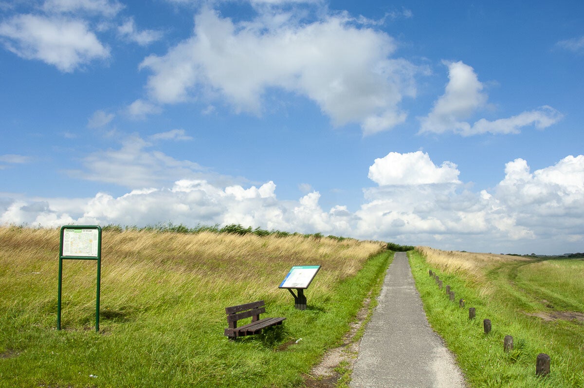 Veendijkpad030.jpg