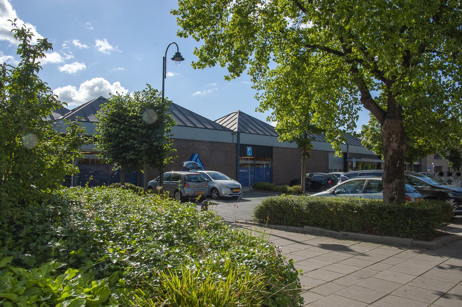 Vijverlaan_0324-1.jpg