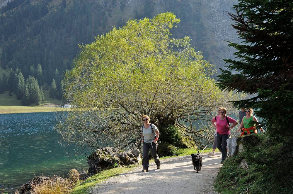 Visalpsee_173.jpg