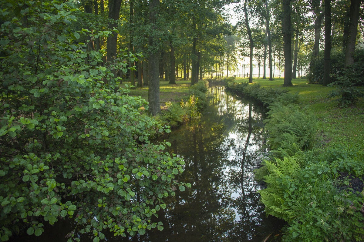 Vosbergenpad Wapenveld 12 06 2015