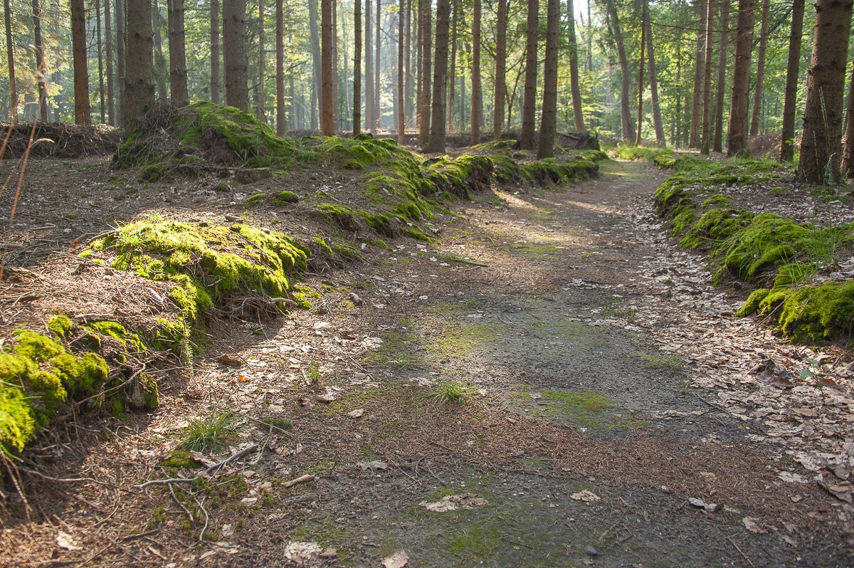 Vosbergenpad_018.jpg