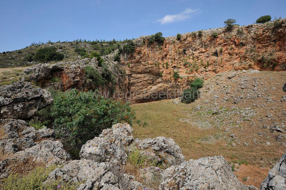 VoulismenoAloni_1282.jpg
