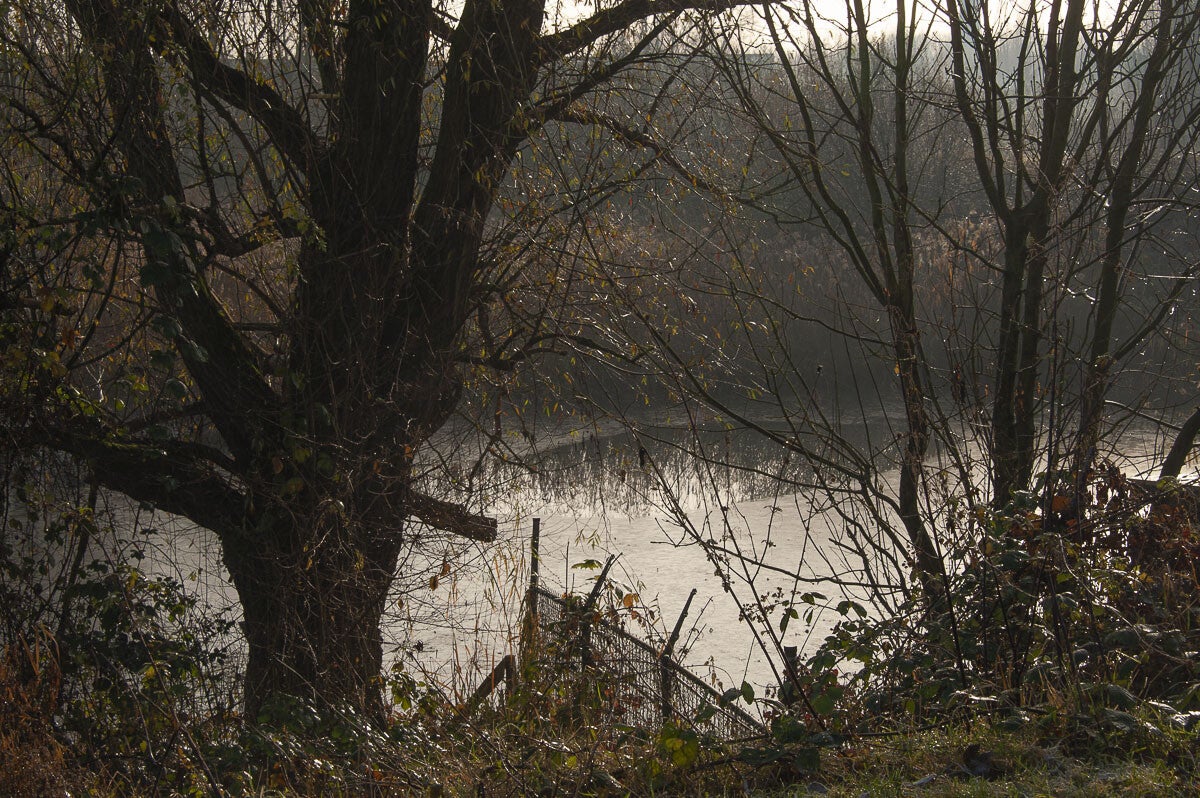 Vurensche_Polderpad_006-1.jpg