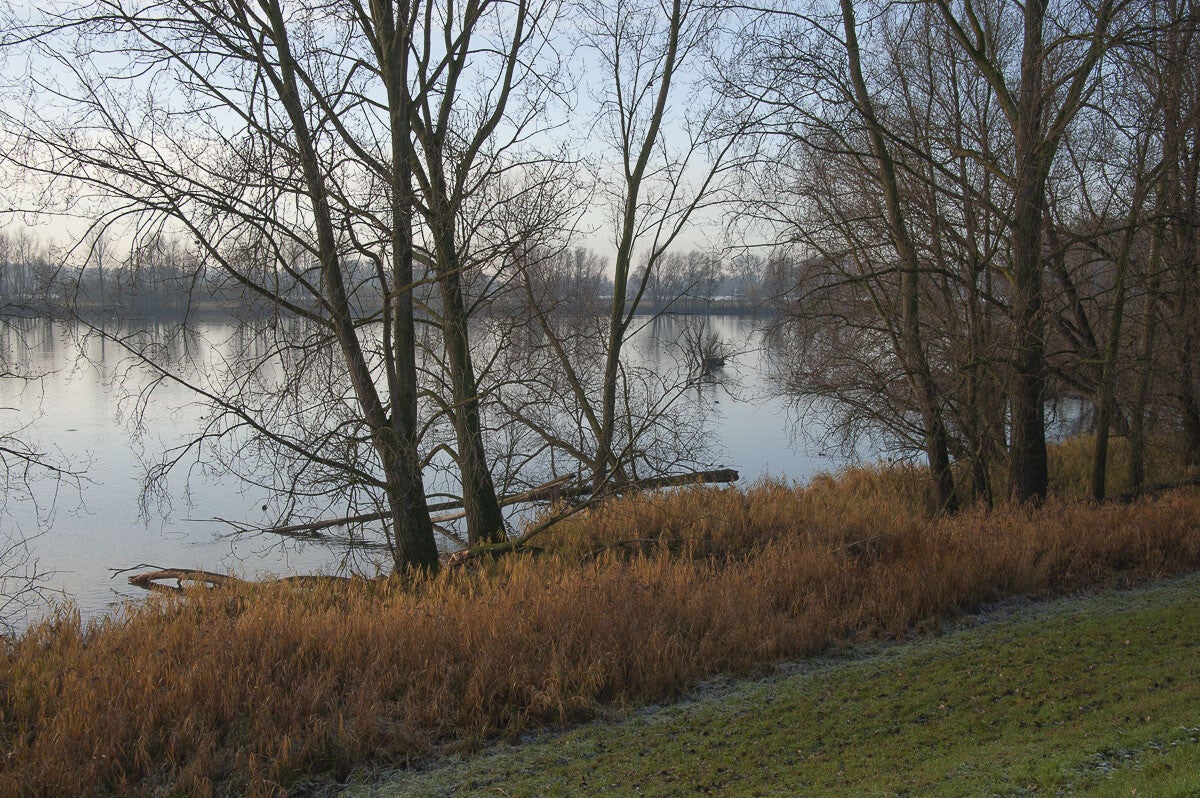 Vurensche_Polderpad_009-1.jpg