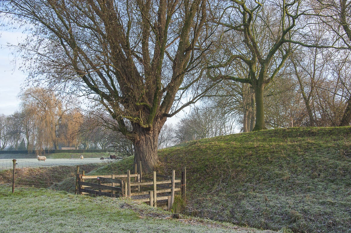 Vurensche_Polderpad_012-1.jpg