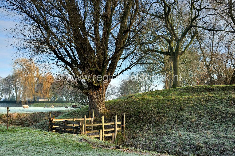Vurensche_Polderpad_012.jpg
