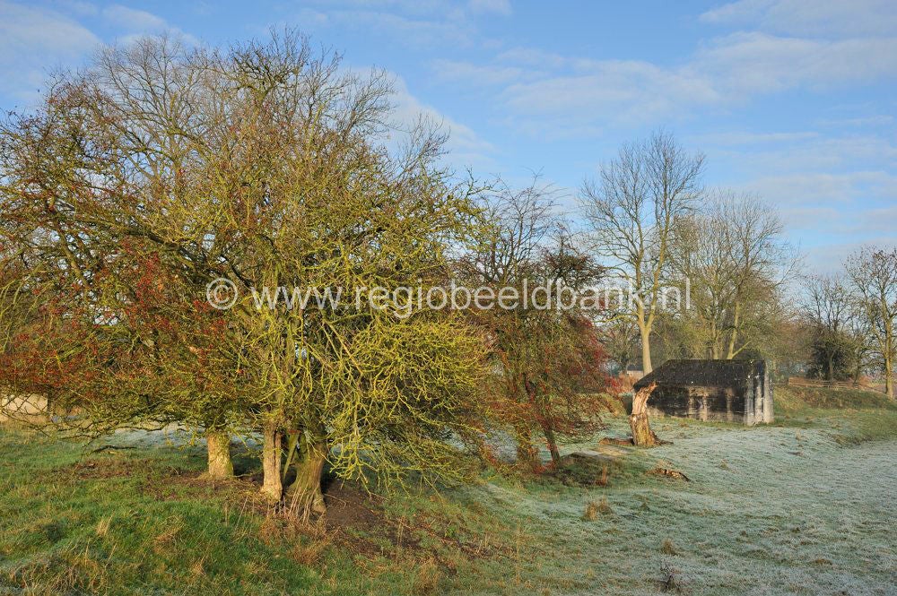 Vurensche_Polderpad_022.jpg