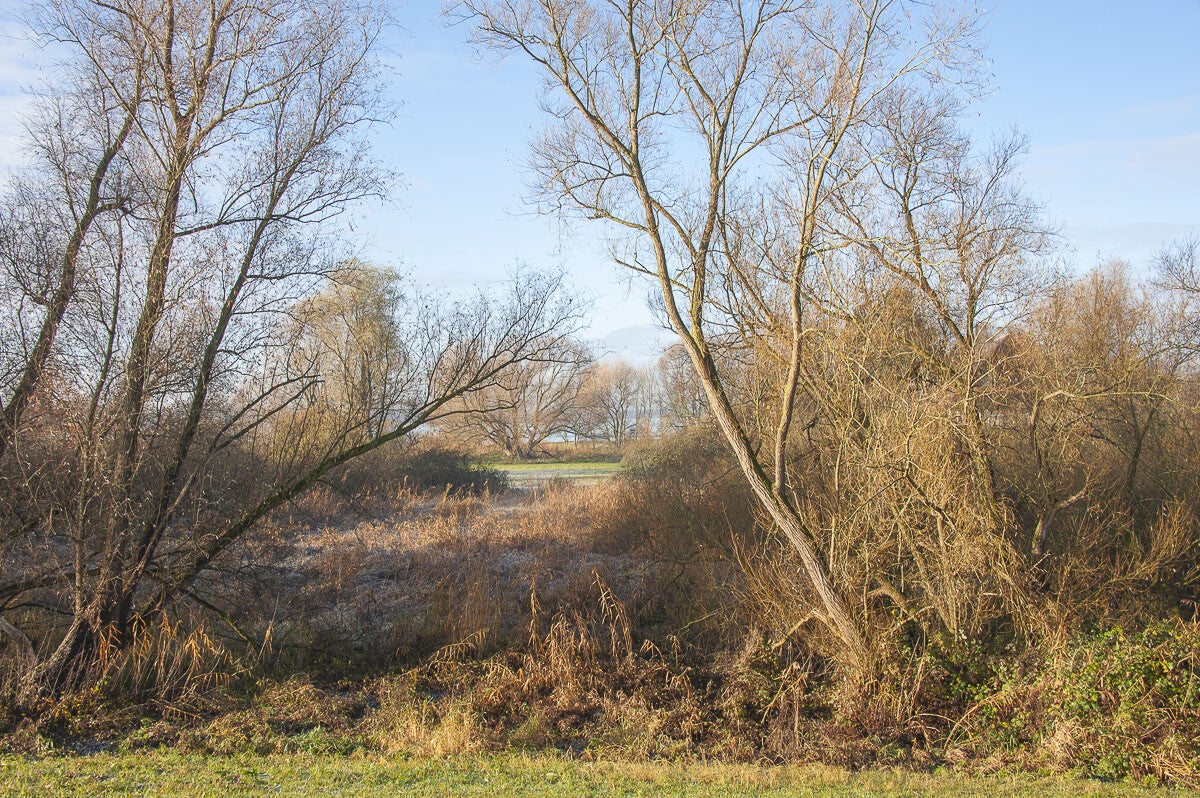 Vurensche_Polderpad_034-1.jpg