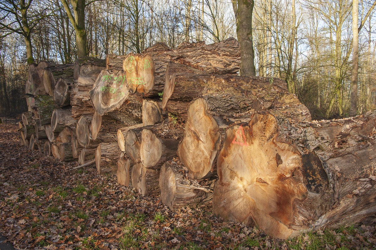 Vurensche_Polderpad_041-1.jpg