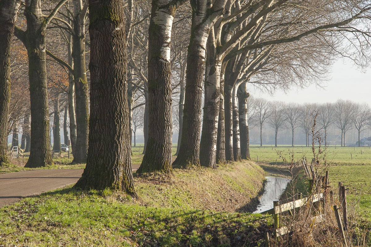 Vurensche_Polderpad_043-1.jpg
