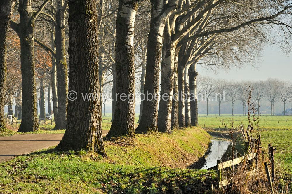 Vurensche_Polderpad_043.jpg