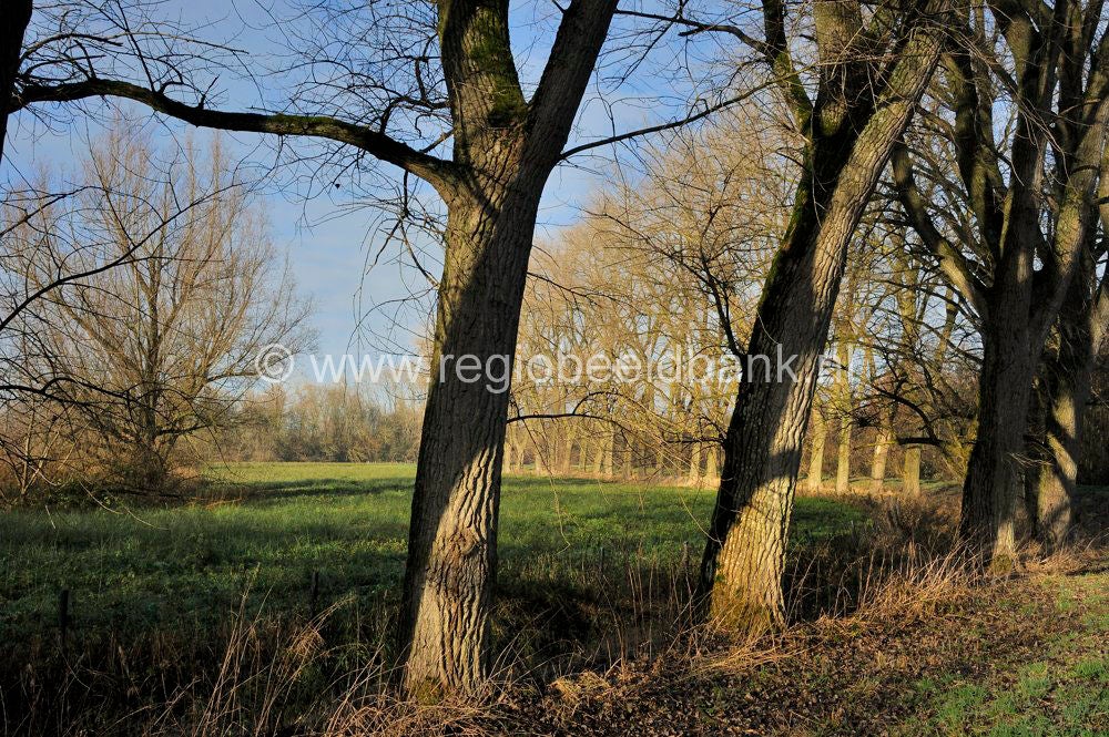 Vurensche_Polderpad_050.jpg