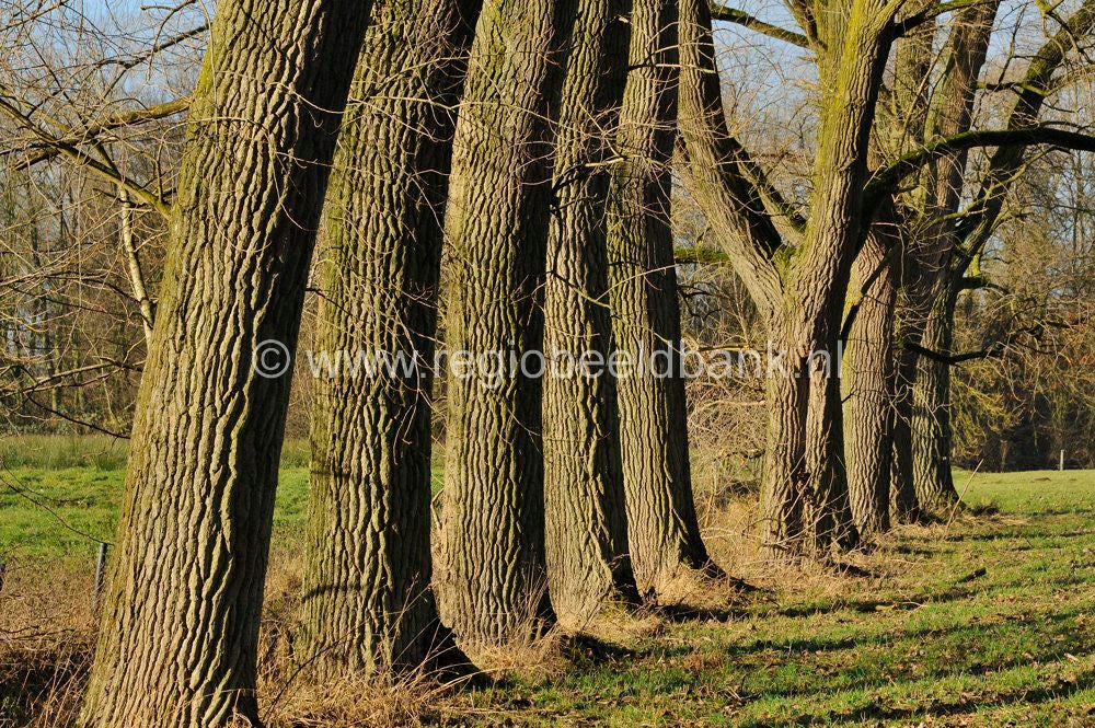 Vurensche_Polderpad_052.jpg