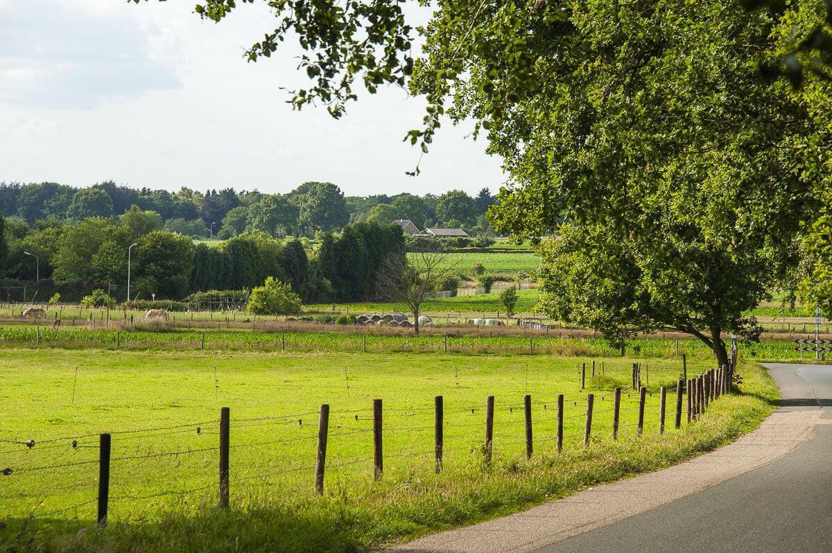 Wageningse_Engpad_004.jpg