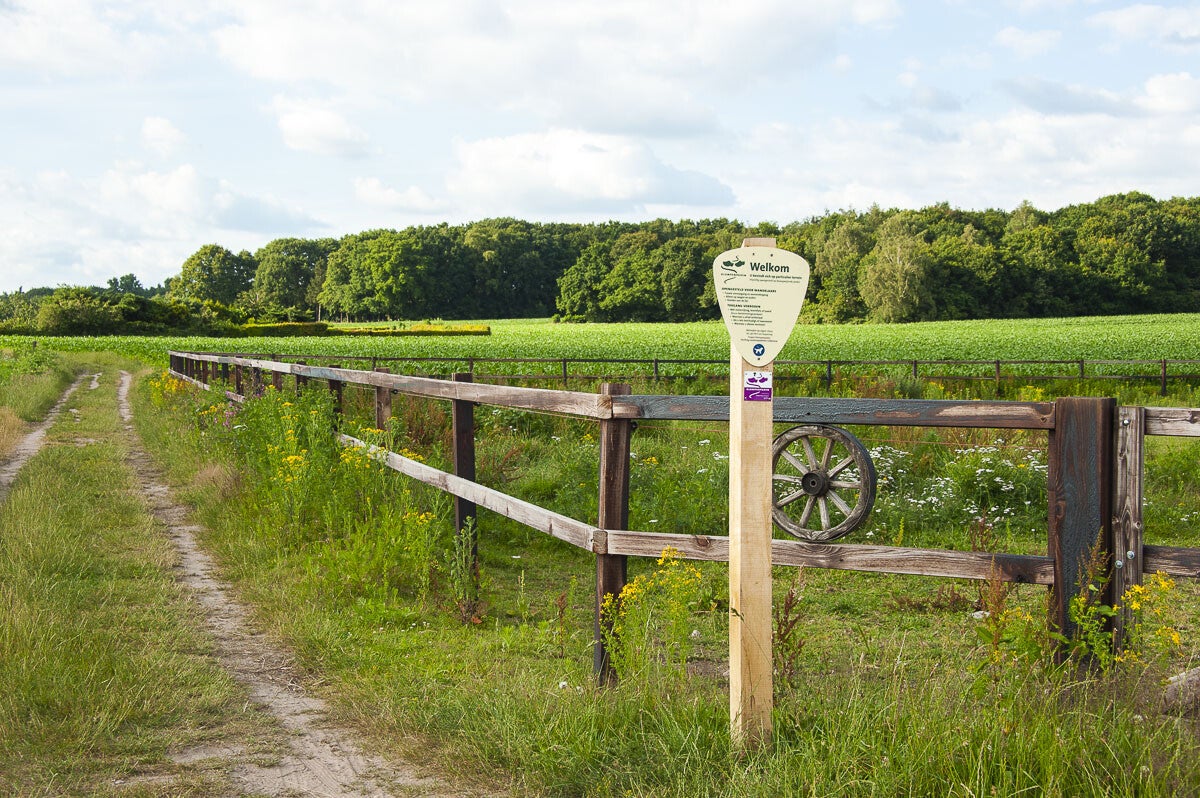 Wageningse_Engpad_012-1.jpg
