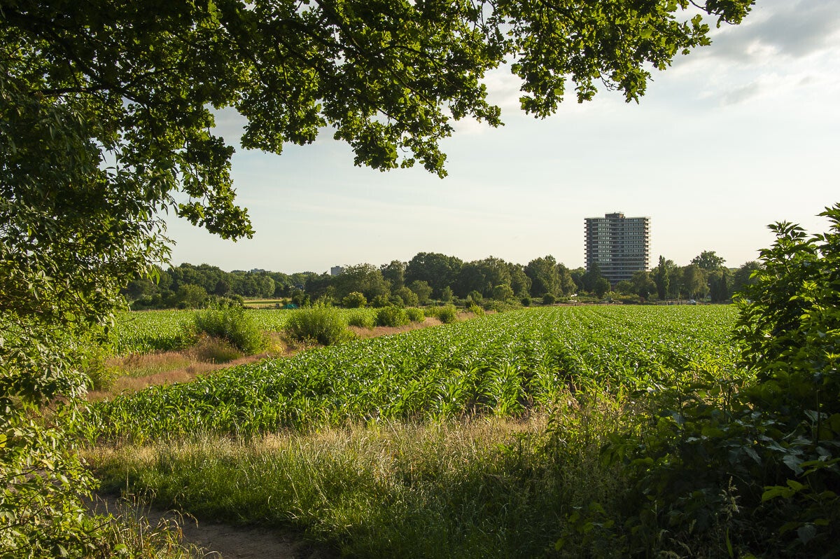 Wageningse_Engpad_026-1.jpg