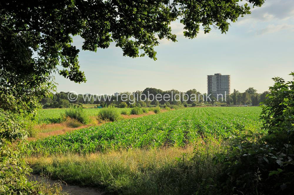 Wageningse_Engpad_026.jpg