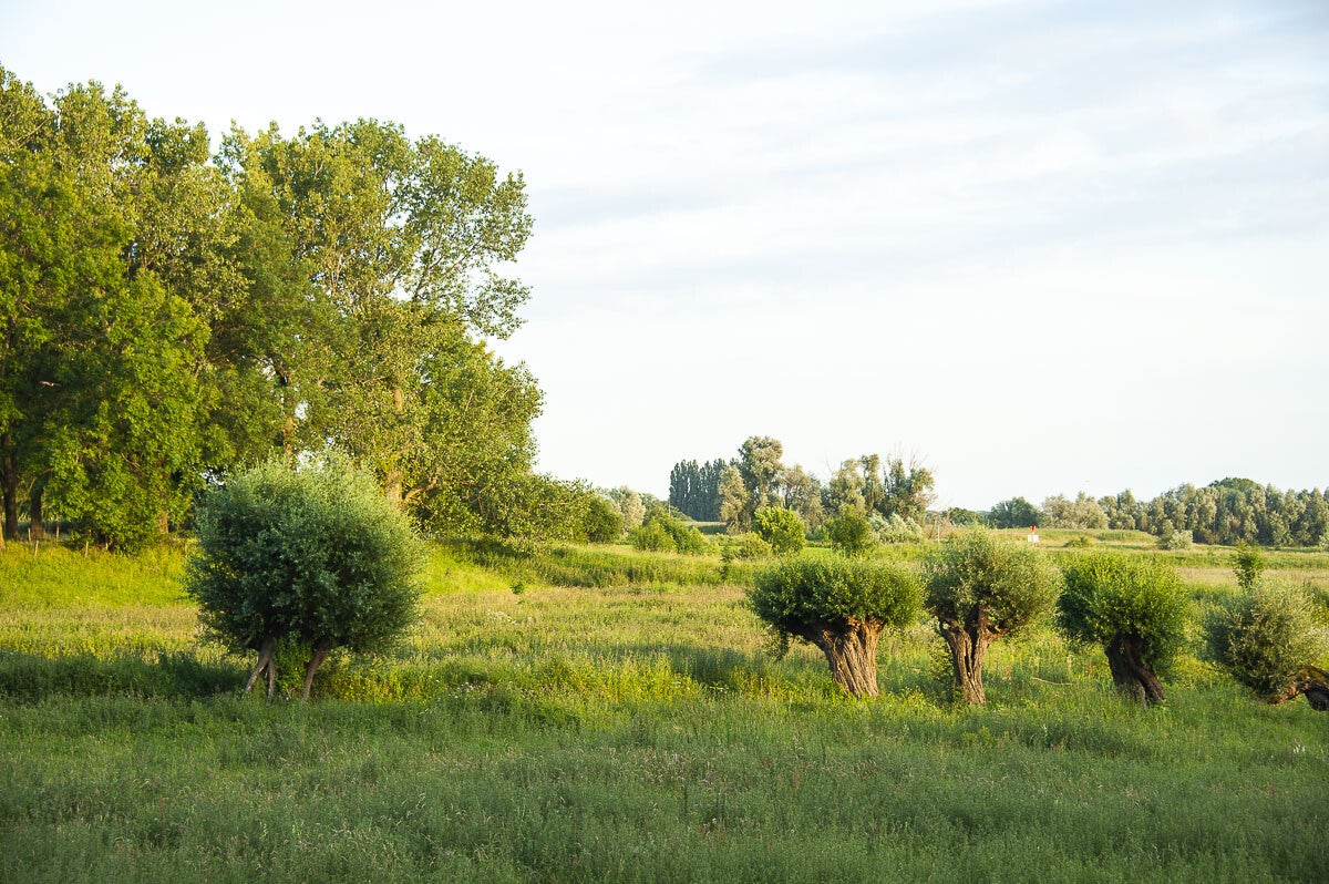 Wageningse_Engpad_034-1.jpg