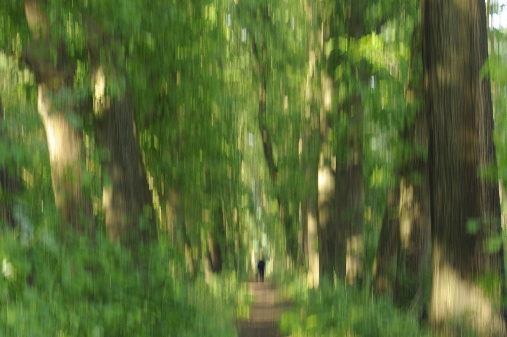 Wittenberg_licht_018.jpg